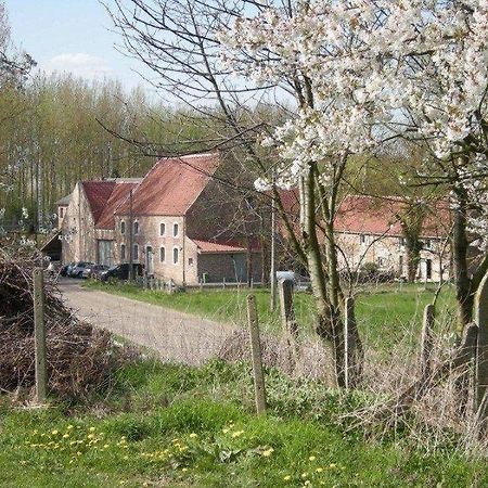 De Verborgen Parel B&B Borgloon Kültér fotó