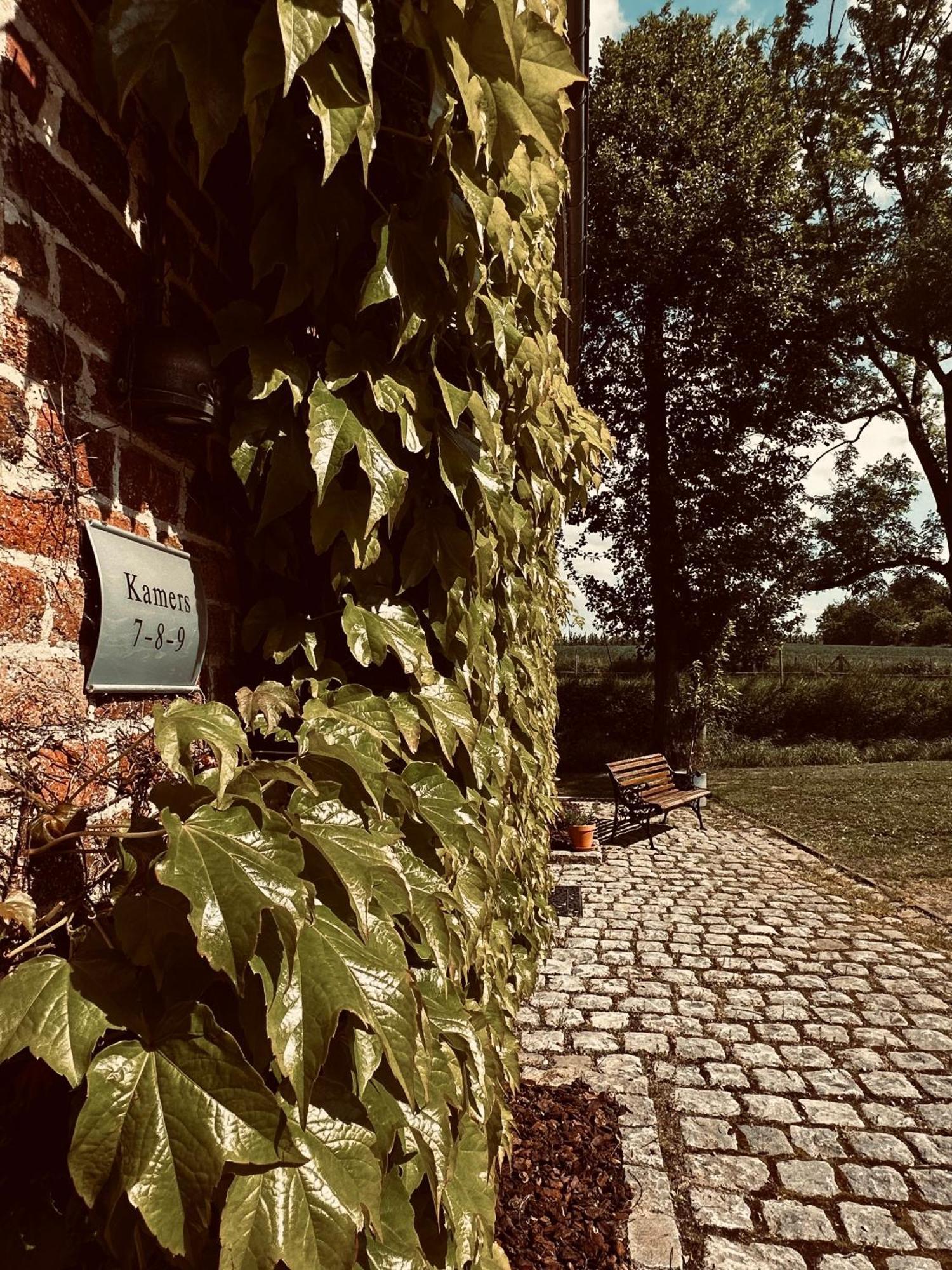 De Verborgen Parel B&B Borgloon Kültér fotó