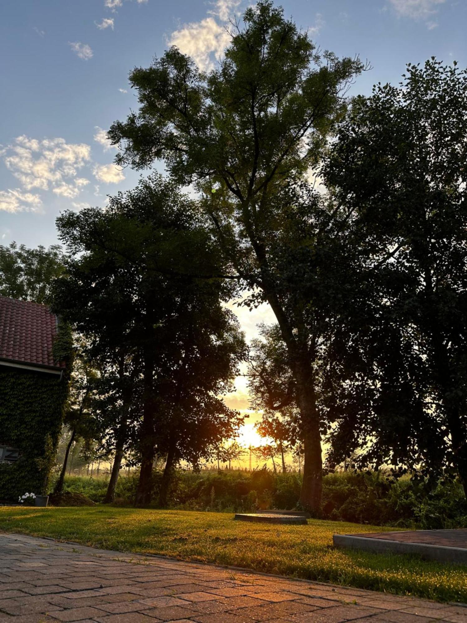 De Verborgen Parel B&B Borgloon Kültér fotó