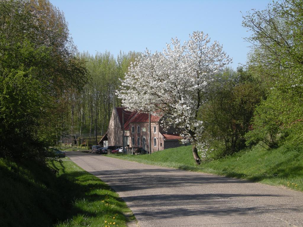 De Verborgen Parel B&B Borgloon Kültér fotó