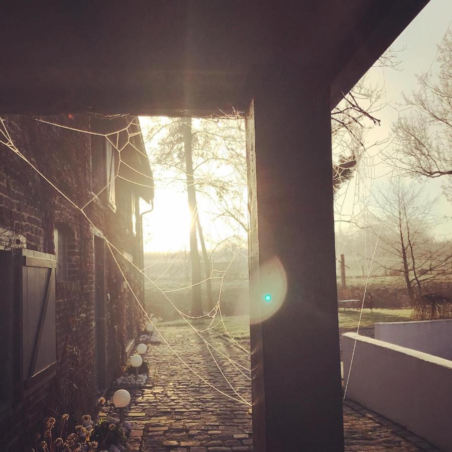 De Verborgen Parel B&B Borgloon Kültér fotó
